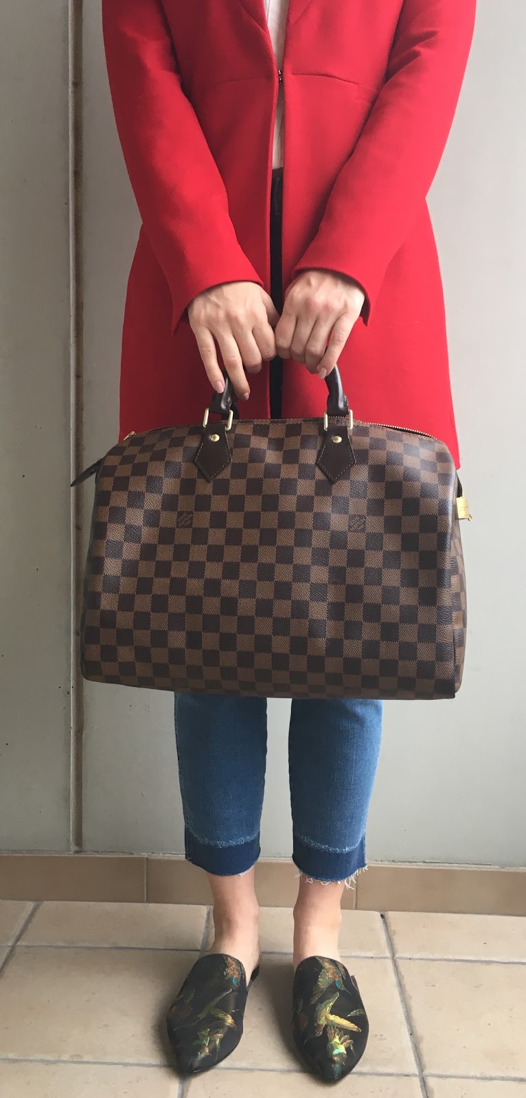 Louis Vuitton Speedy 35