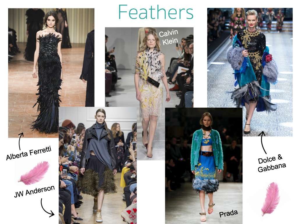 top 10 trends for fall collage - feathers